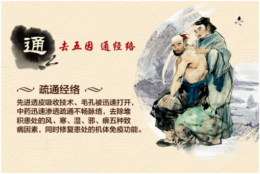 2016“南獅王”強勢來襲 國家級膏藥品牌真實評測