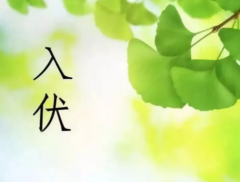 何為三伏天？三伏貼？ 